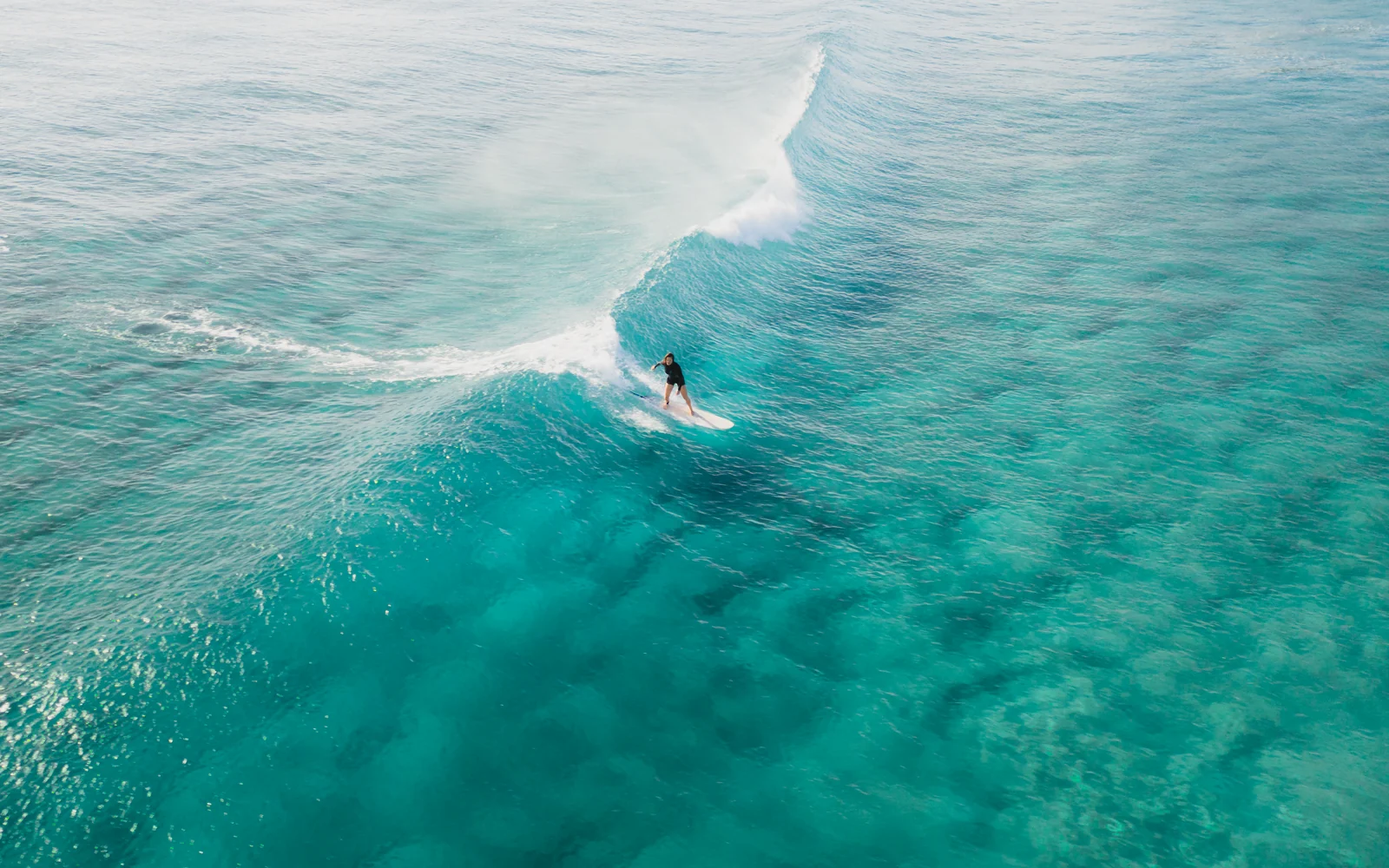A surfer rides a white board along a turquoise wave, viewed from above.