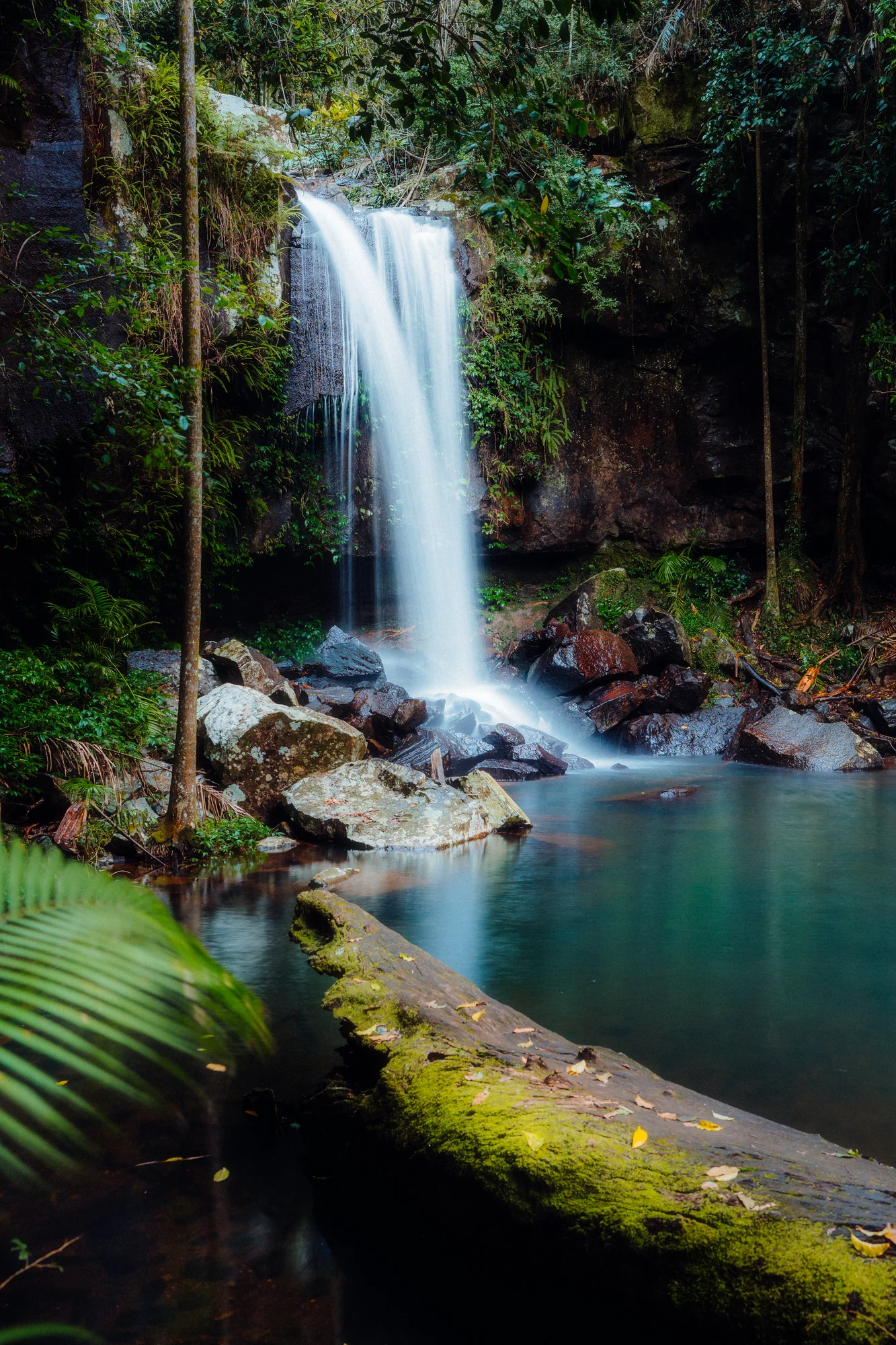 A forest waterfall flows into a blue-green pool beside a moss-covered fallen log.