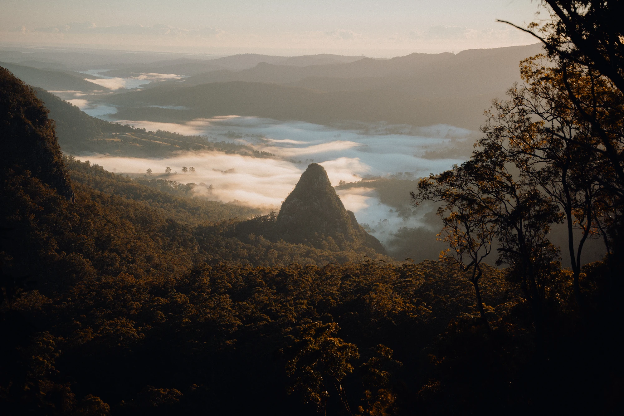 Warm dawn light touches a forested valley beneath a distant pointed mountain and low mist.