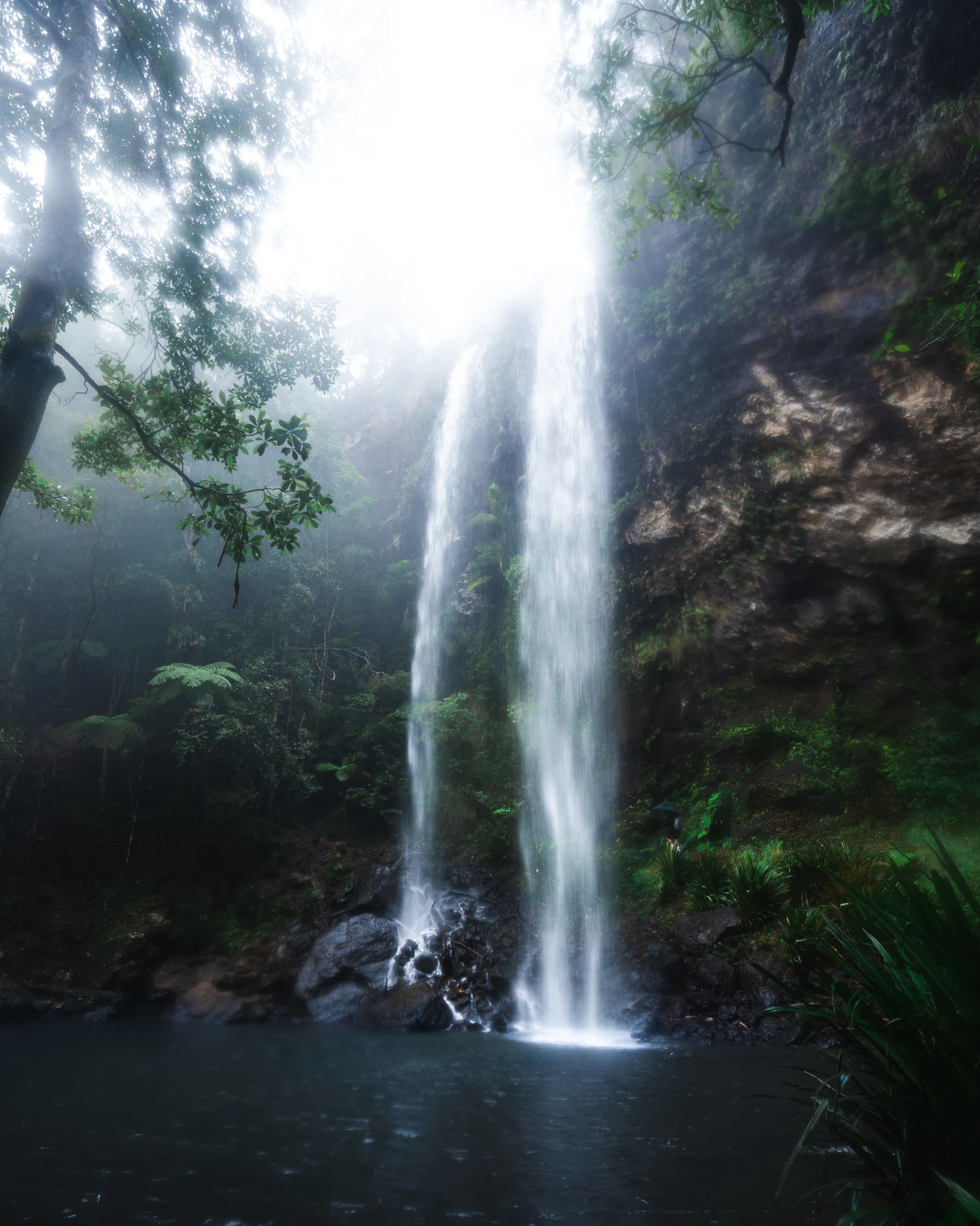 Twin waterfalls descend into a dark forest pool beneath a bright misty canopy.