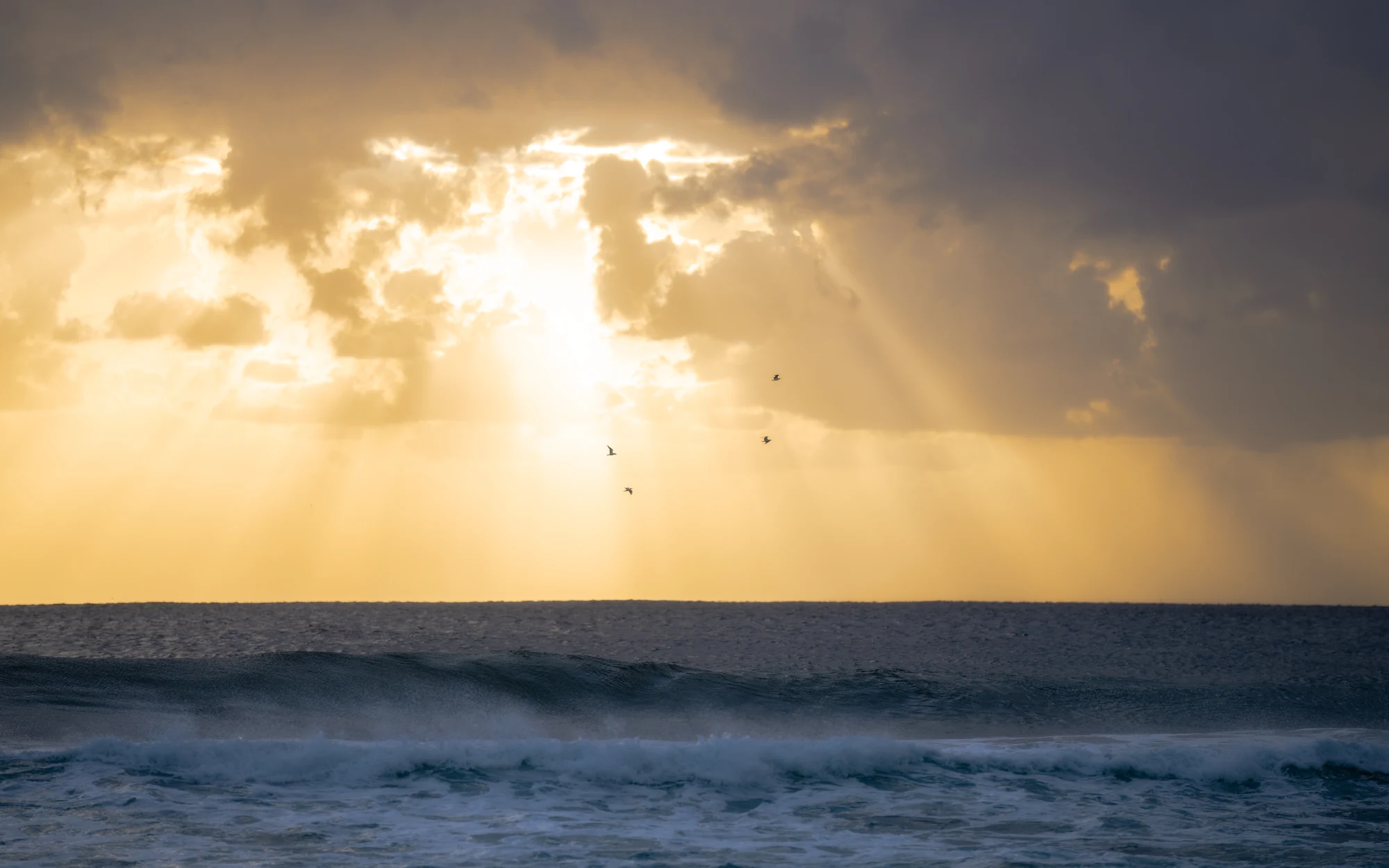 Sun rays break through dark clouds over the sea as small birds cross the light.