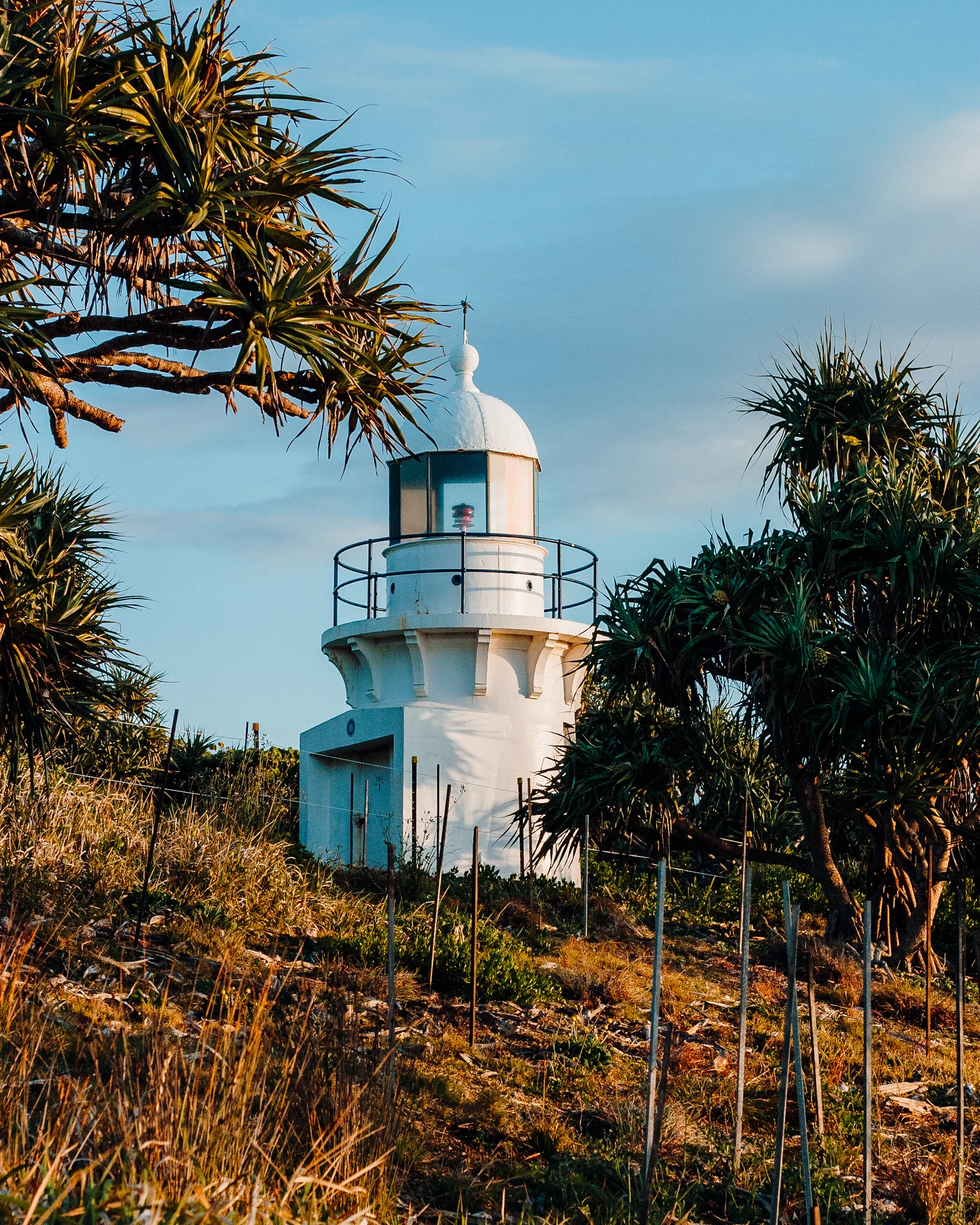 A white lighthouse stands behind coastal grass and pandanus leaves.