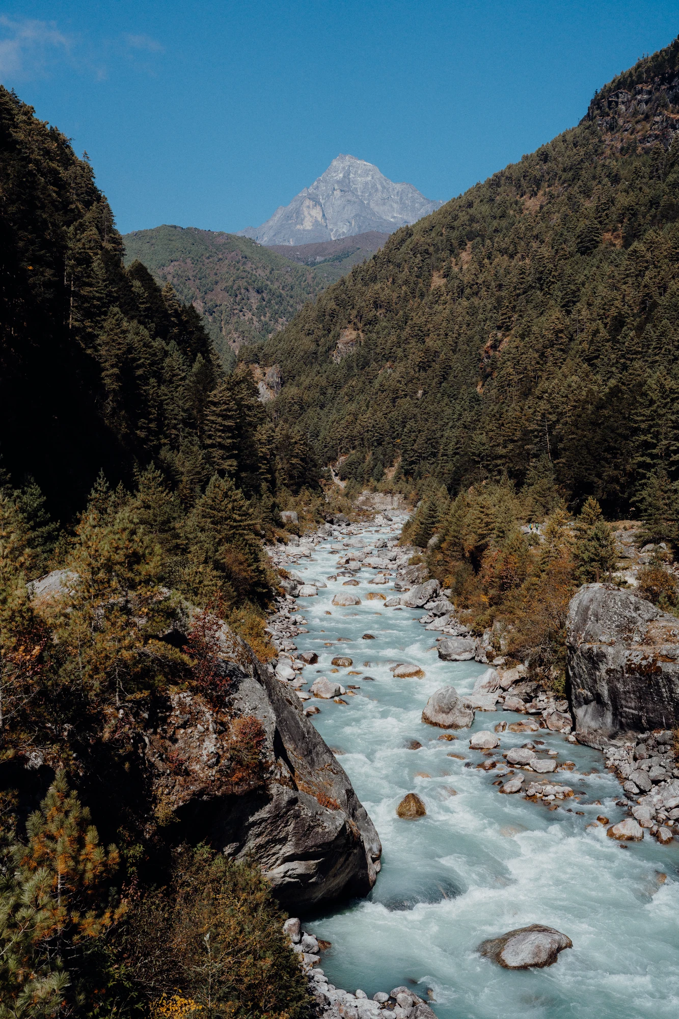 A pale turquoise river winds through a forested mountain valley toward a distant peak.