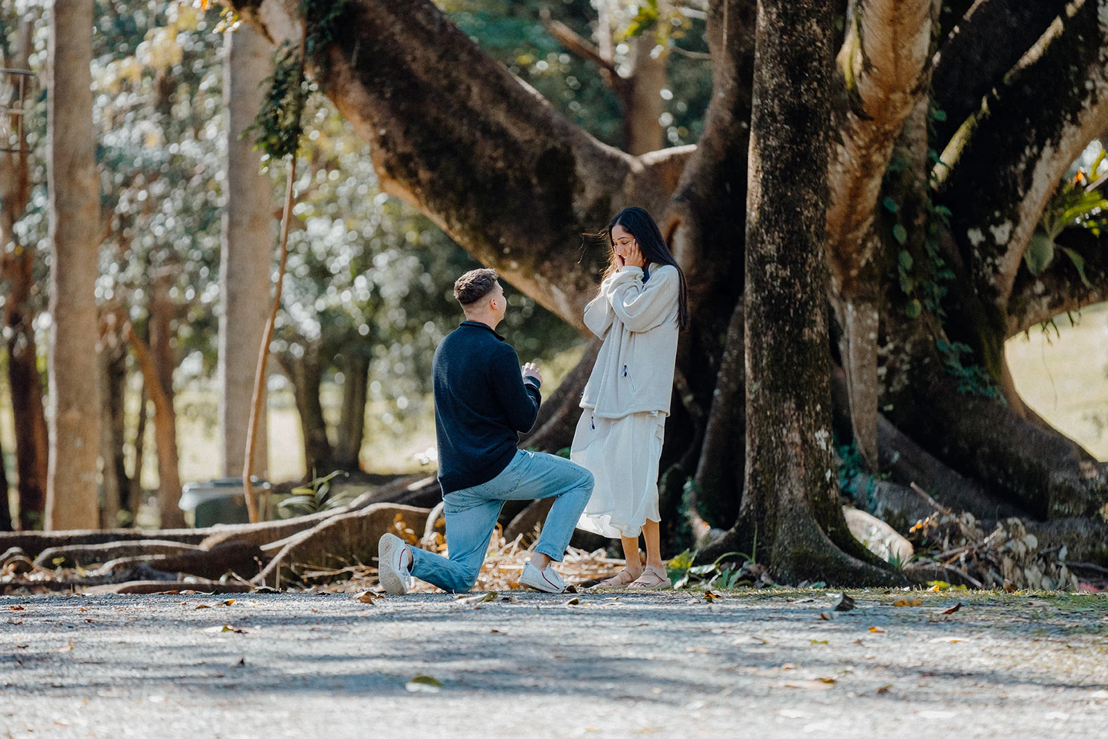 A man kneels with a ring beneath a large tree as his partner raises her hands in surprise.