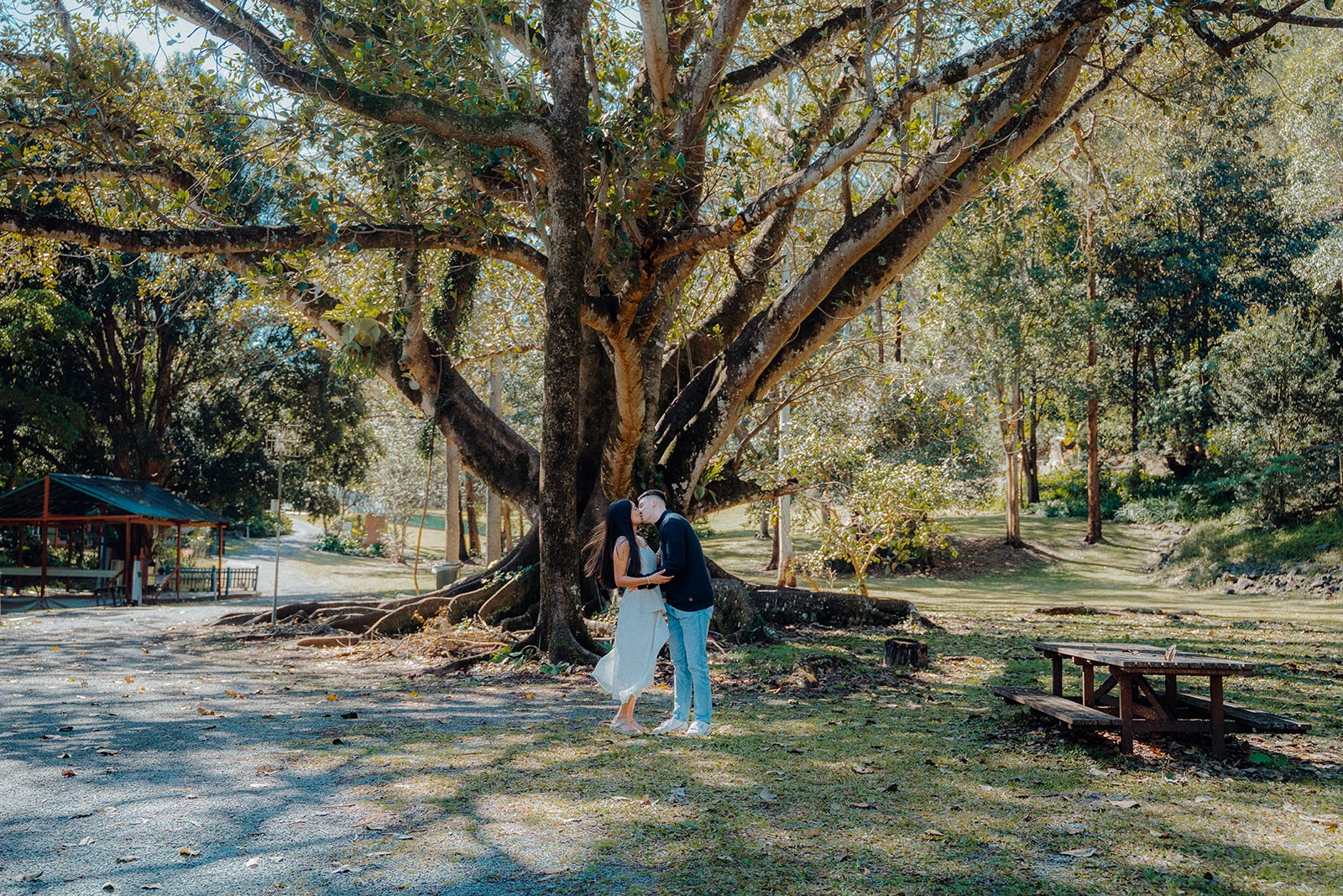 A couple kiss beneath the spreading branches of a large tree.