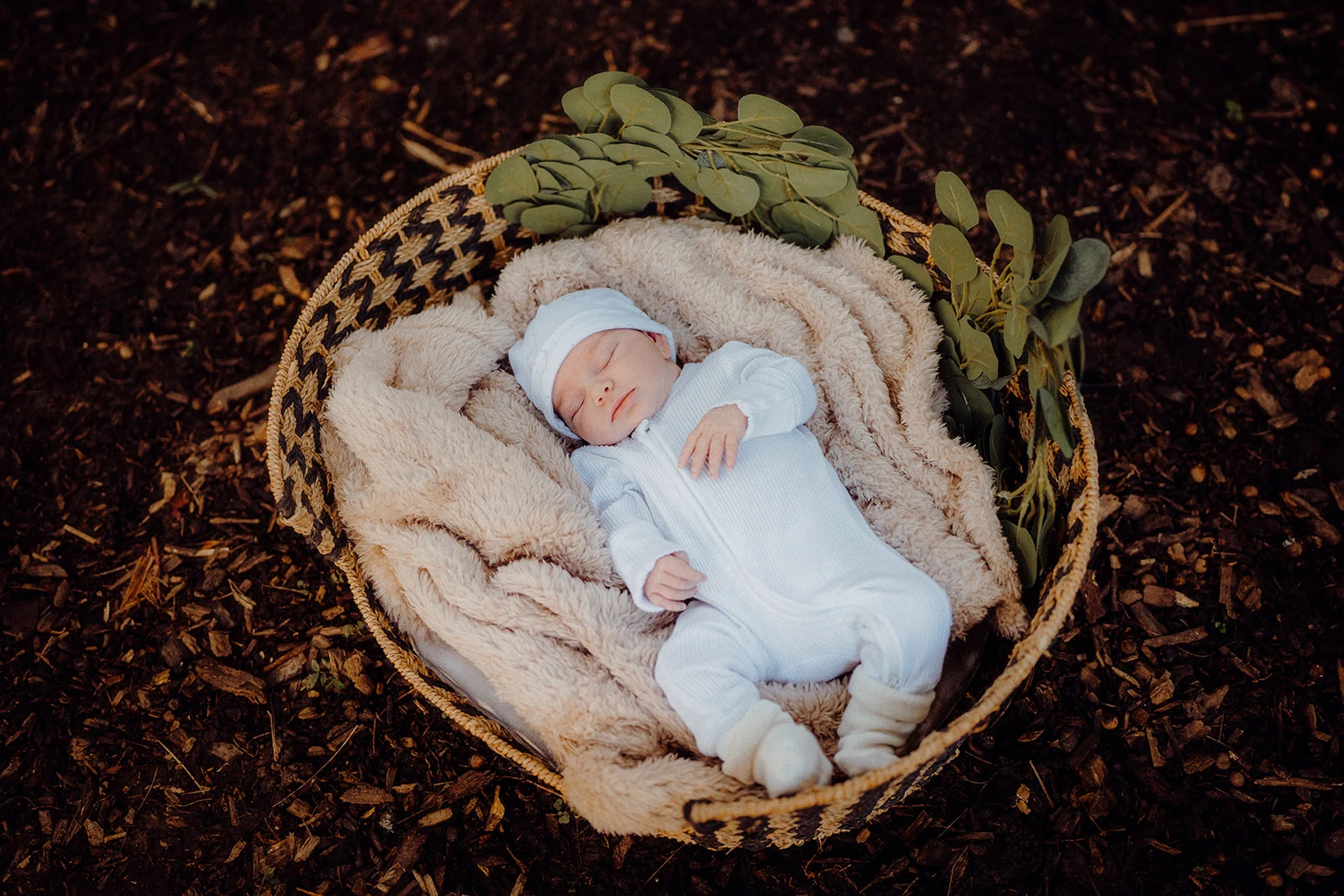 A sleeping newborn rests in a blanket-lined basket among leaves.